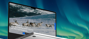 SEO продвижение сайтов